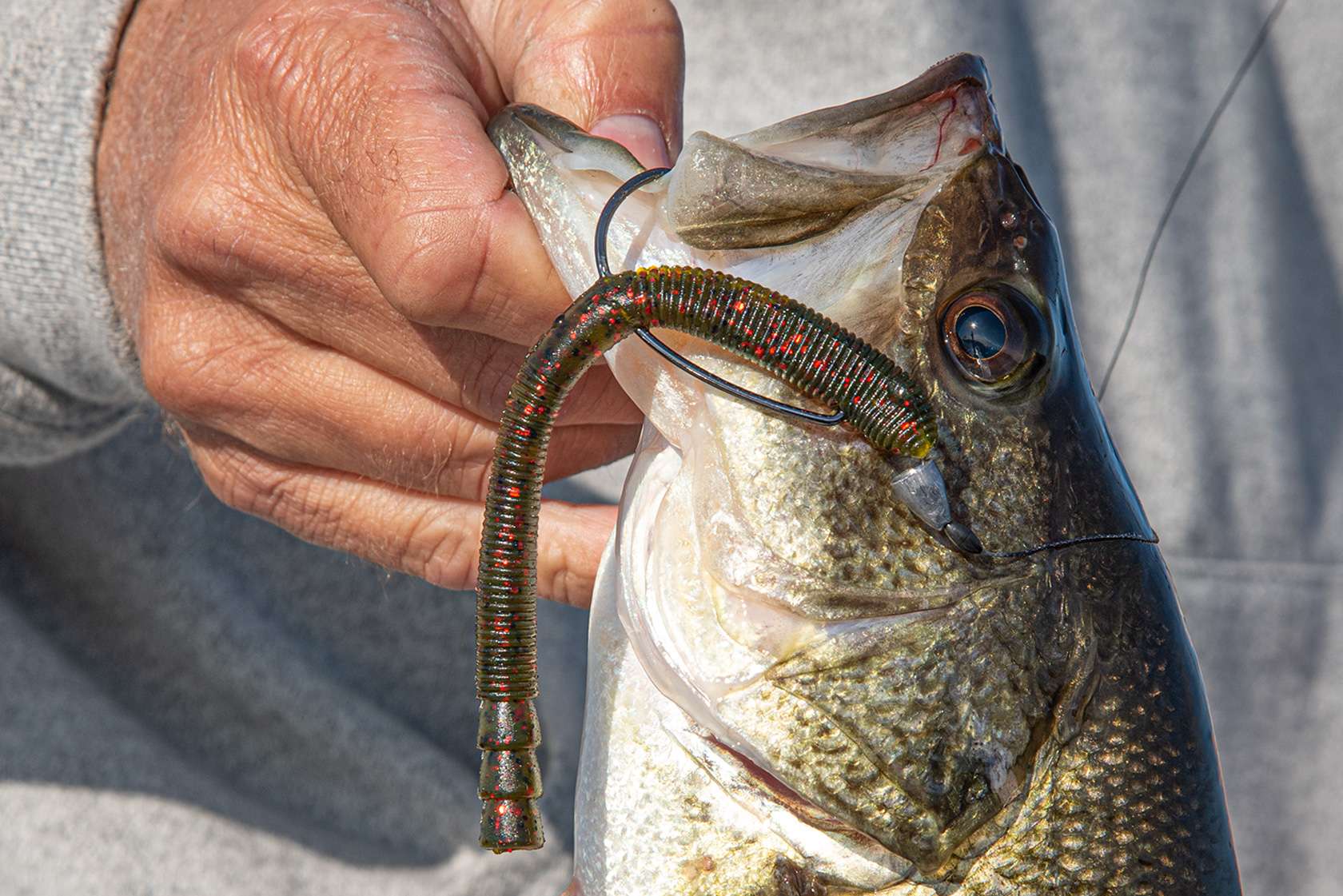 How to fish a Texas rig