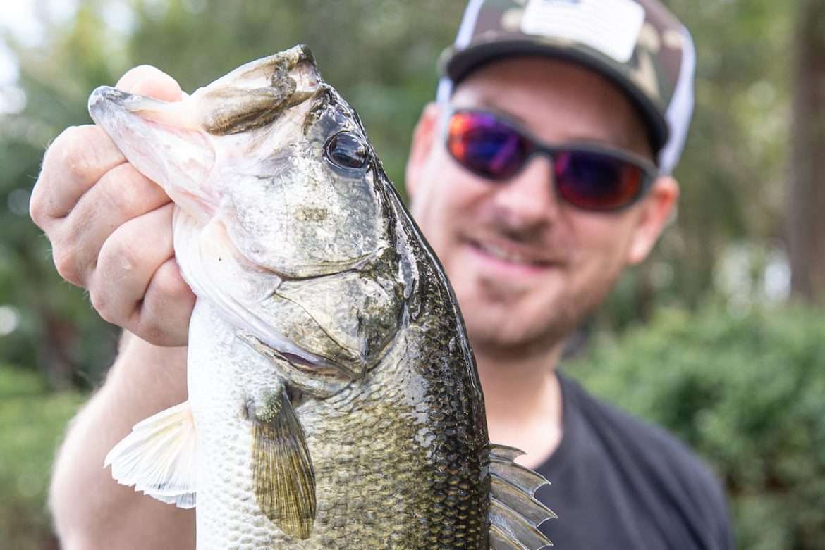tips and tricks for bass fishing