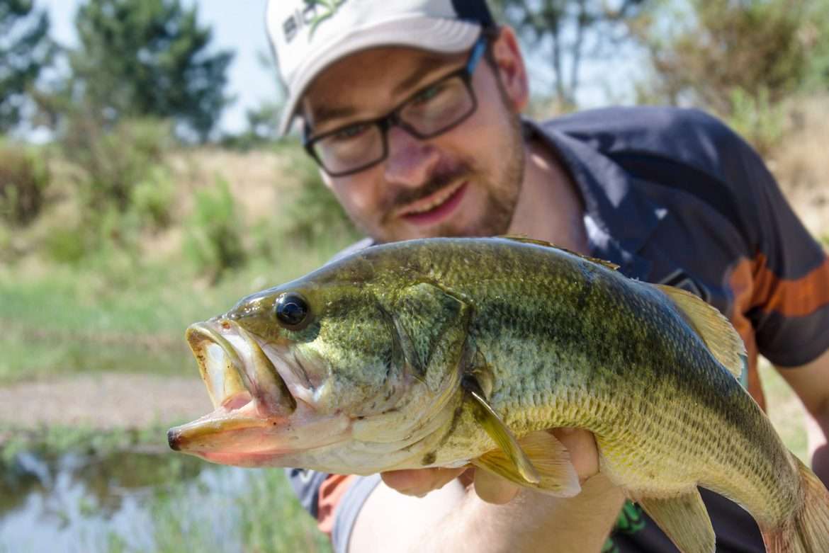 How Old Is A Three Pound Largemouth Bass? How-old-is-a-three-pound-largemouth-bass