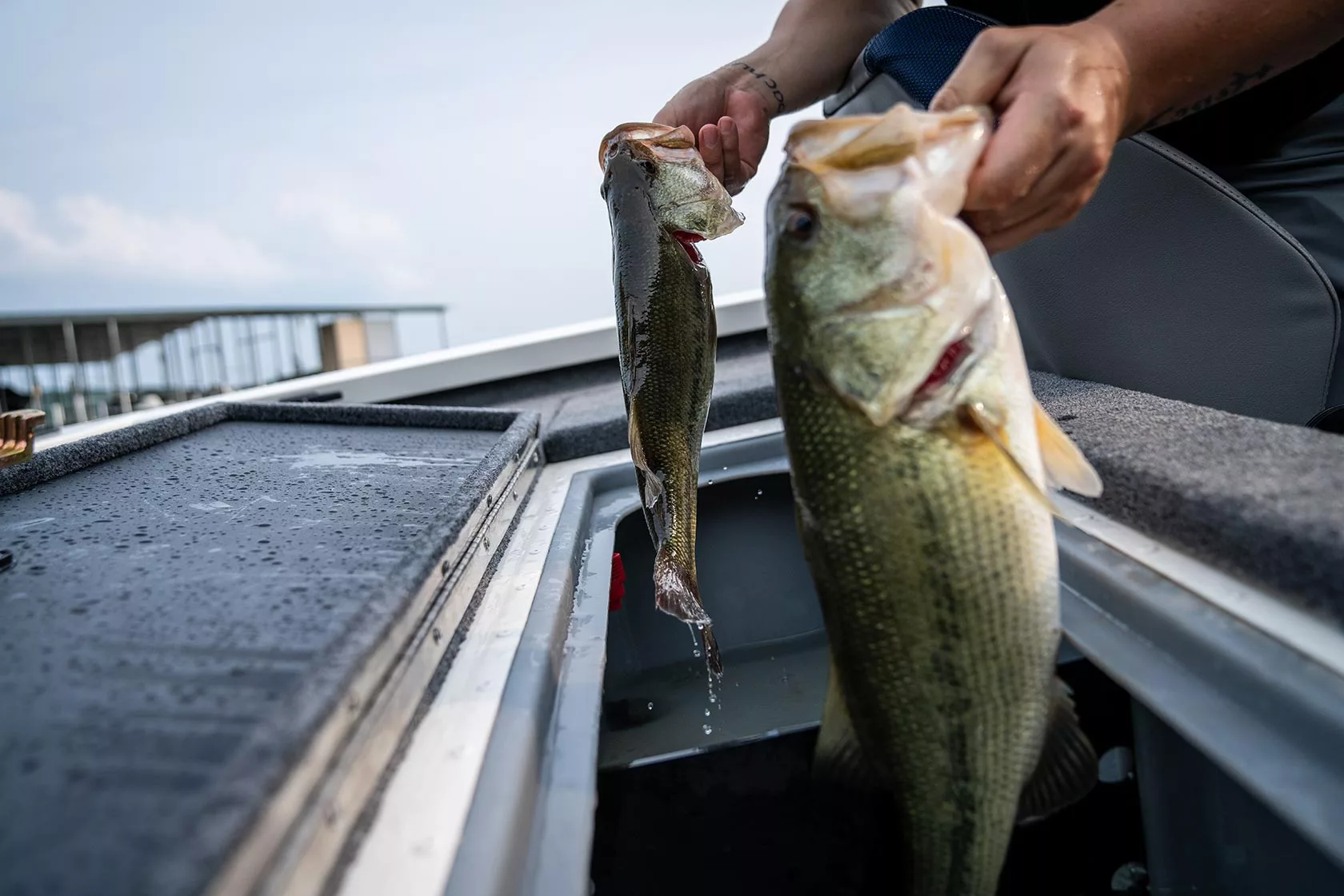 Complete Largemouth Bass Growth Chart 