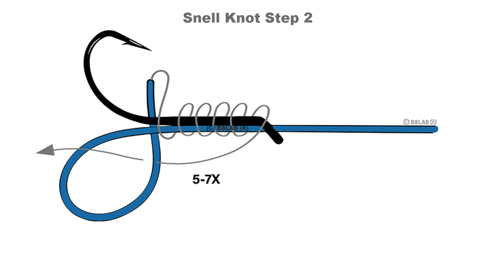 Snell Knot Guide Step 2